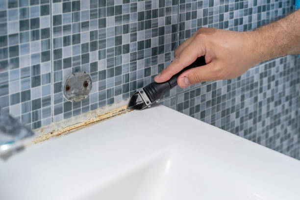 Best Affordable Mold Removal  in Miami Springs, FL
